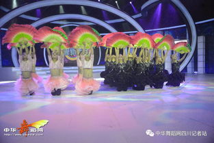 舞韻綻芳華，星光啟航藝術培訓學校攜《陌上花開》亮相四川廣播電視臺超級新秀場